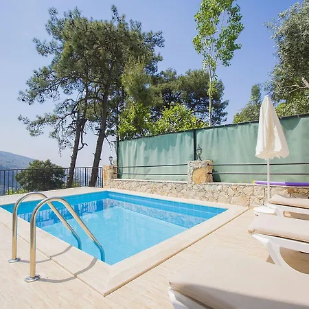 Levent Kalkan